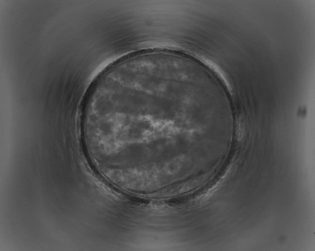 X0000091060983200708271152