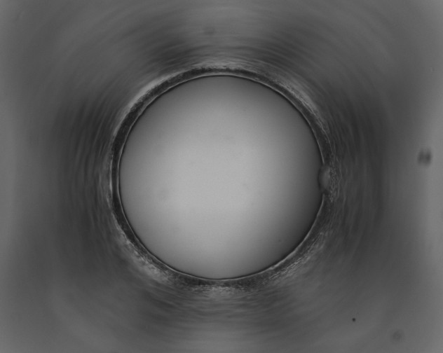 X0000091060984200708271152