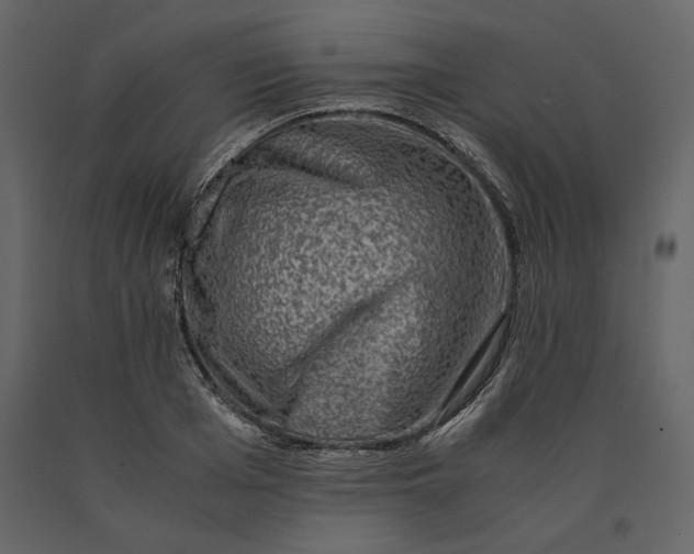 X0000091060985200708271152
