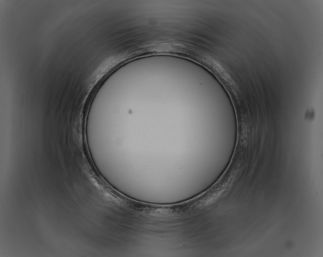 X0000091060986200708271152