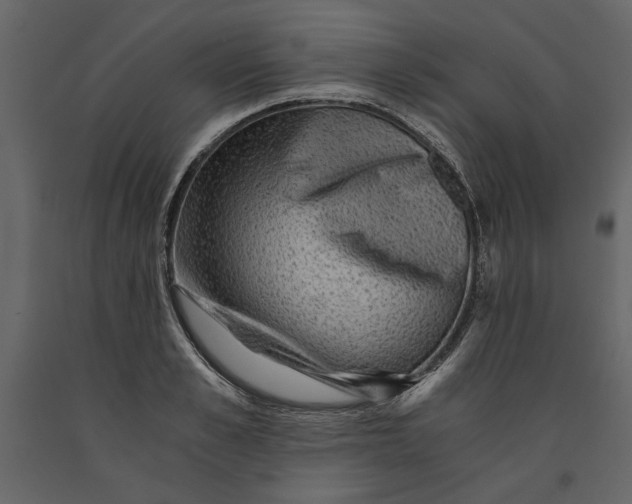 X0000091060989200708271152
