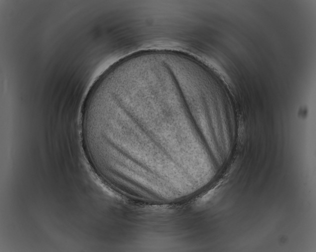 X0000091060990200708271152