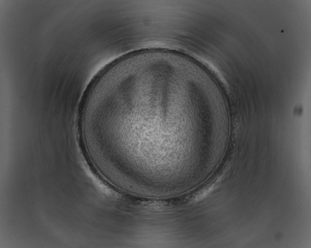 X0000091060991200708271152