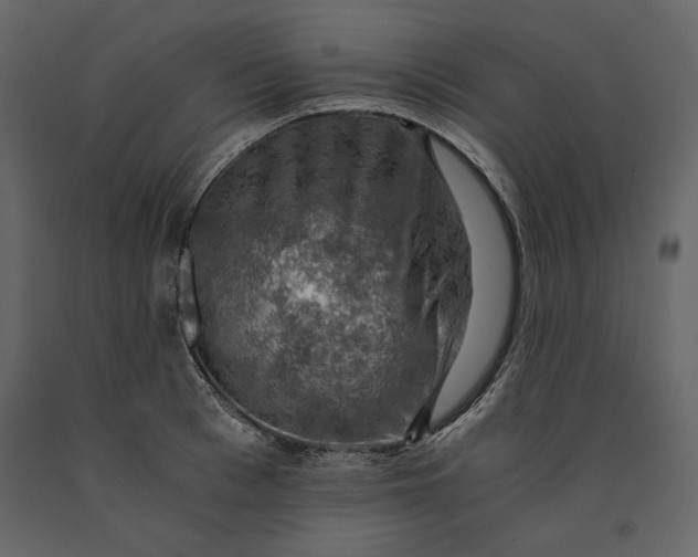 X0000091060993200708271152