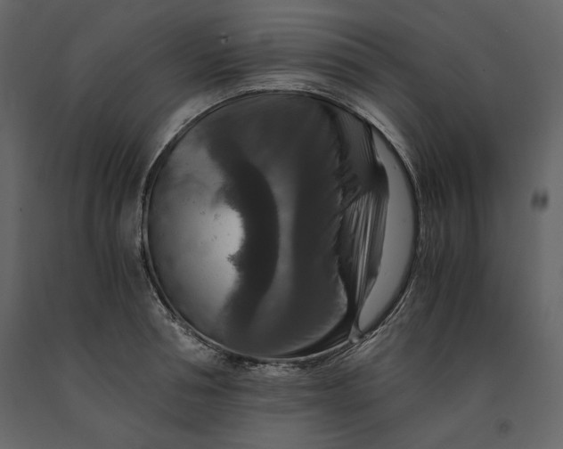 X0000091060994200708271152