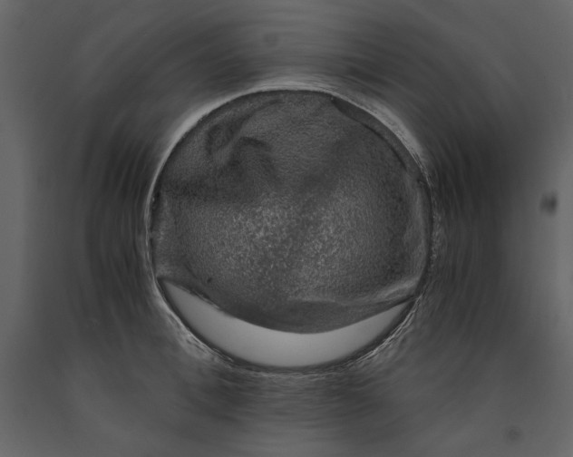X0000091060996200708271152