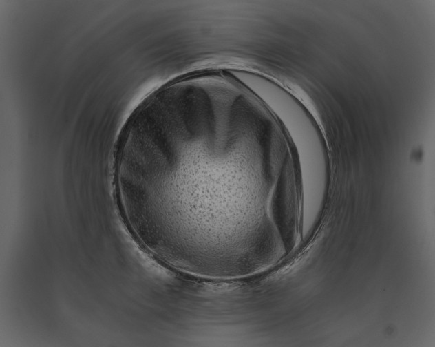 X0000091060997200708271152