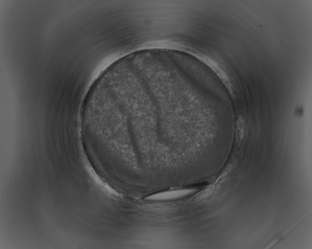 X0000091060998200708271152