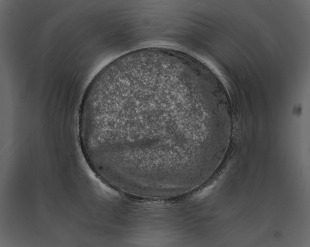 X0000091060999200708271152