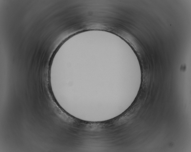 X0000091061000200708271152