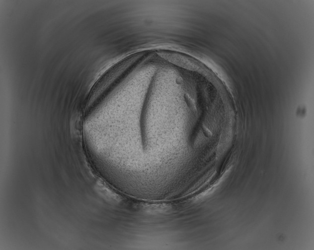X0000091061001200708271152
