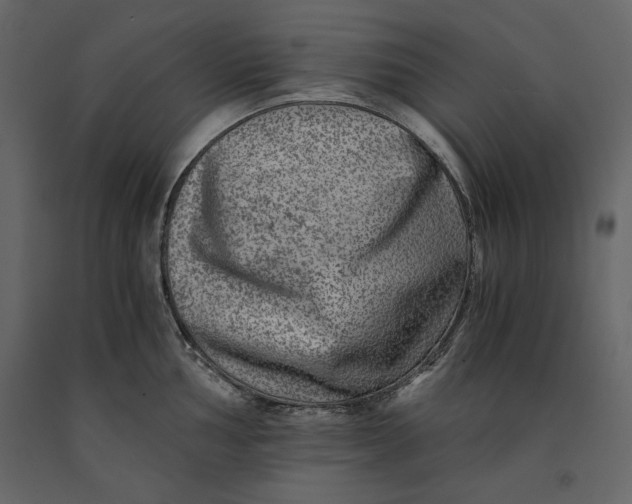 X0000091061002200708271152