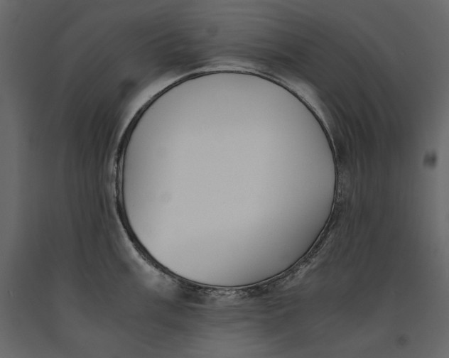 X0000091061003200708271152