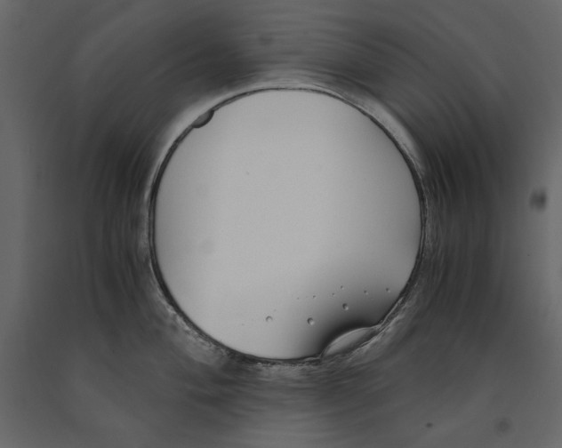 X0000091061004200708271152