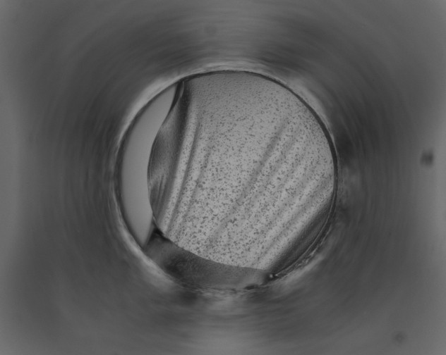 X0000091061005200708271152