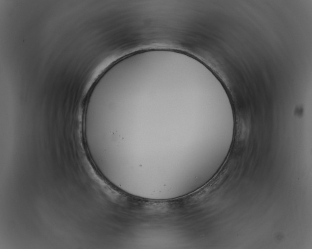 X0000091061006200708271152