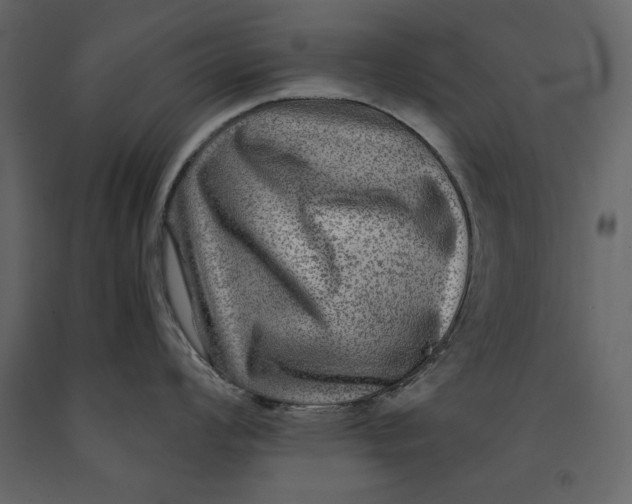 X0000091061008200708271152