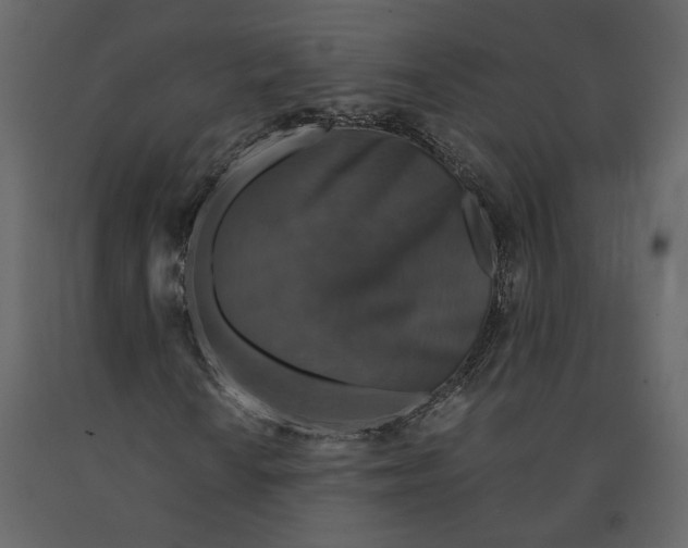 X0000091061010200708271151