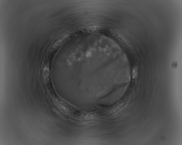 X0000091061011200708271151