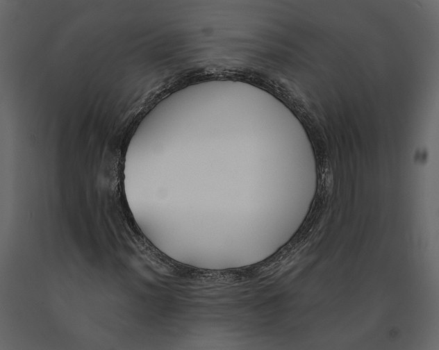 X0000091061012200708271151