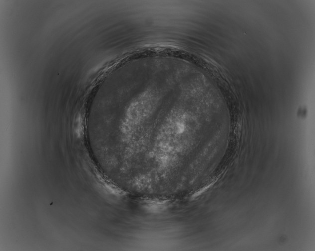 X0000091061014200708271151
