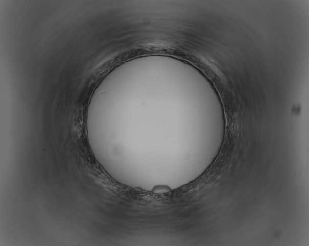 X0000091061015200708271151