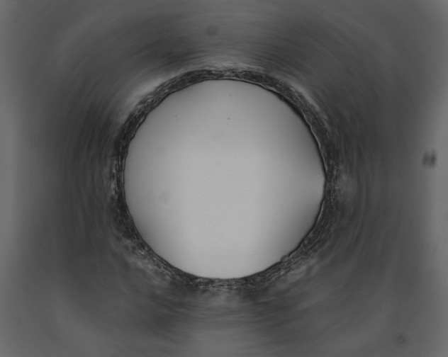 X0000091061016200708271151