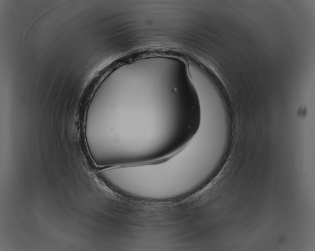 X0000091061018200708271151
