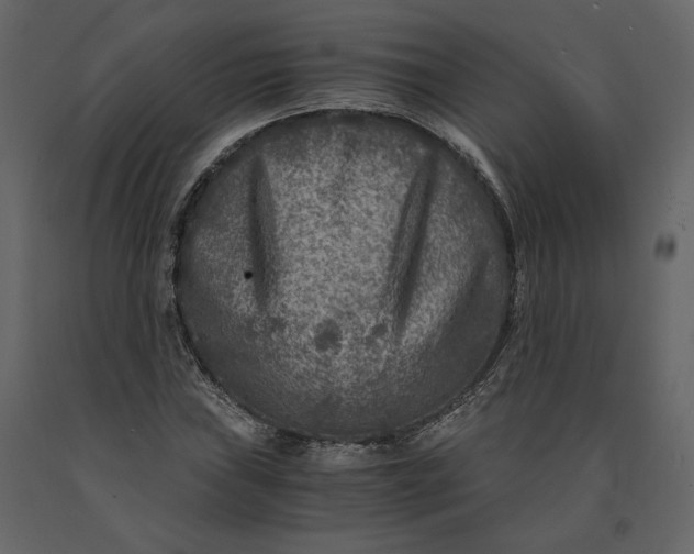 X0000091061019200708271151