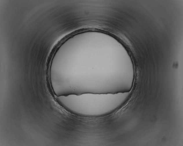X0000091061020200708271151
