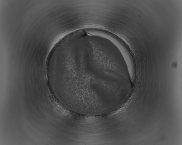 X0000091061022200708271151