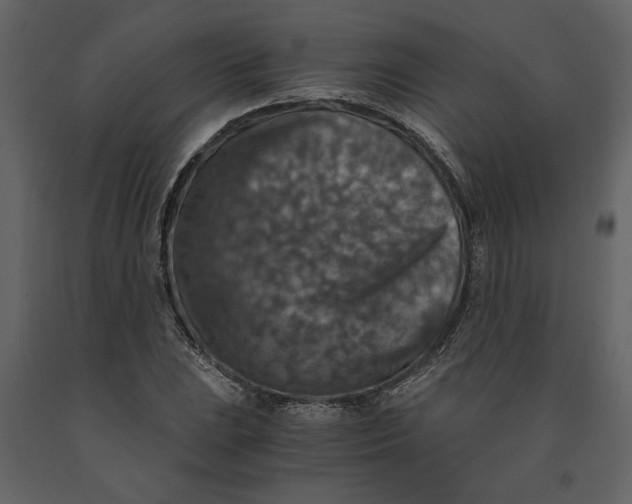 X0000091061023200708271151