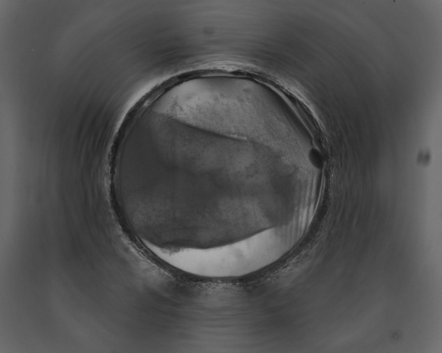 X0000091061024200708271151