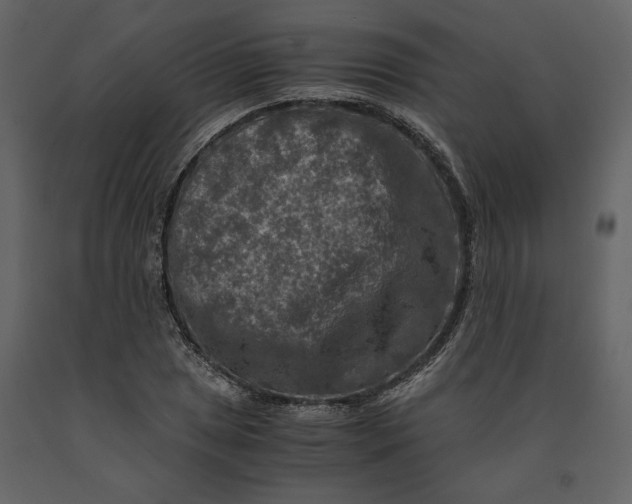 X0000091061025200708271151