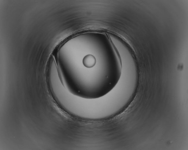 X0000091061026200708271151