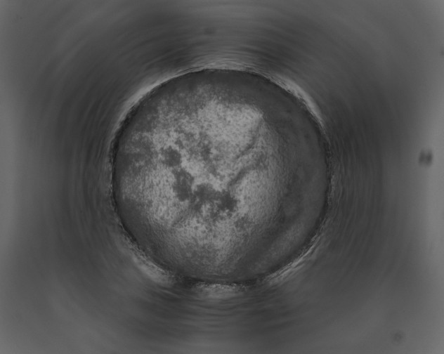 X0000091061027200708271151