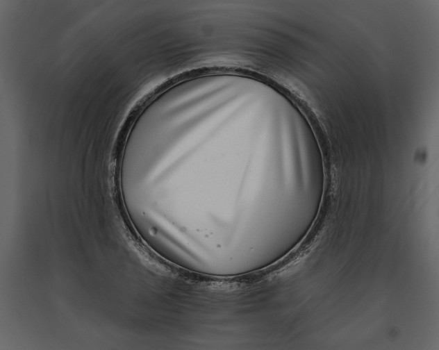 X0000091061029200708271151
