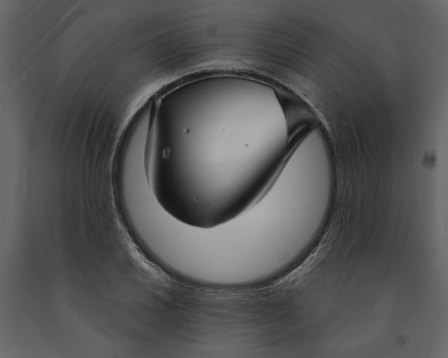 X0000091061030200708271151