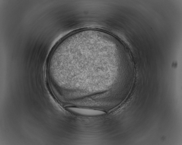 X0000091061032200708271151