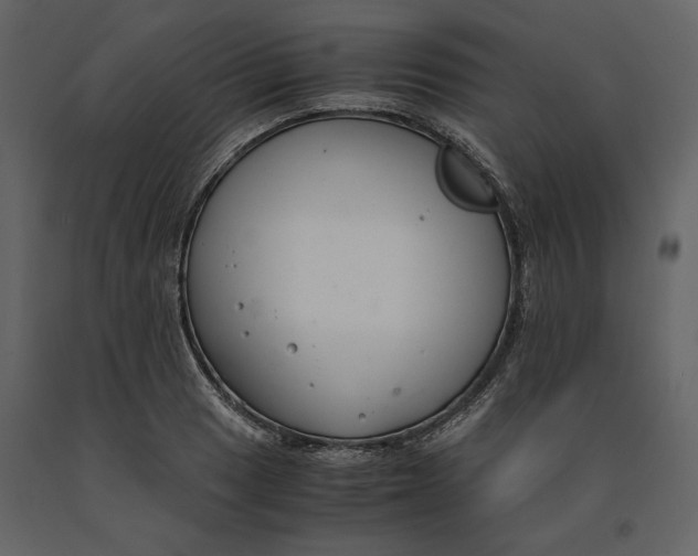 X0000091061033200708271151