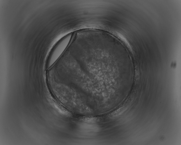 X0000091061035200708271152