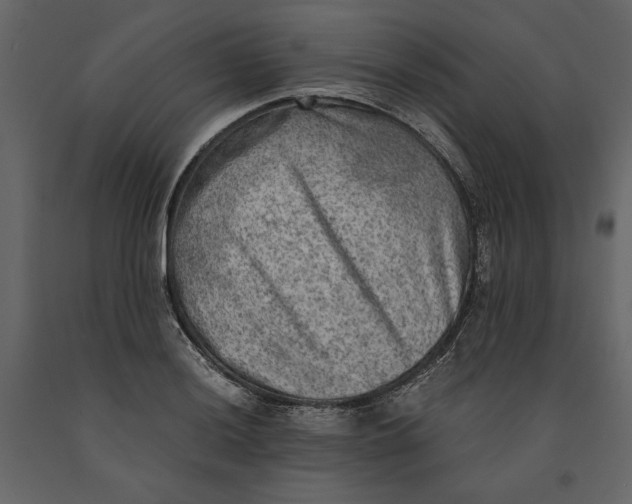 X0000091061036200708271152