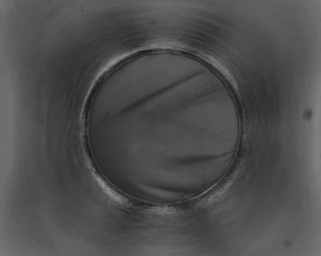 X0000091061037200708271152