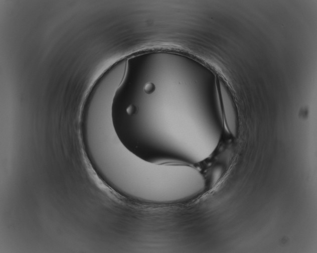 X0000091061038200708271152