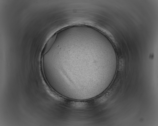X0000091061039200708271152