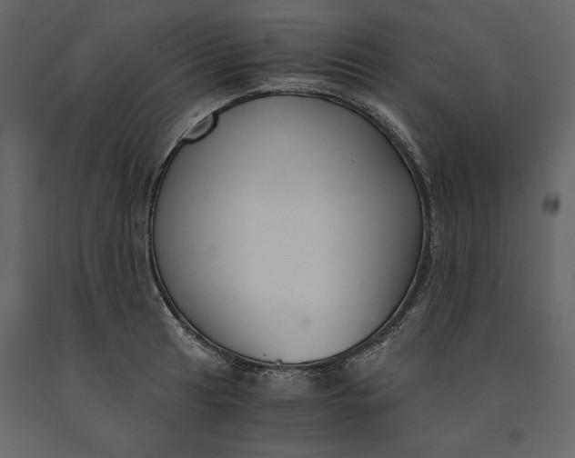 X0000091061041200708271152