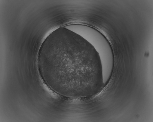 X0000091061042200708271152