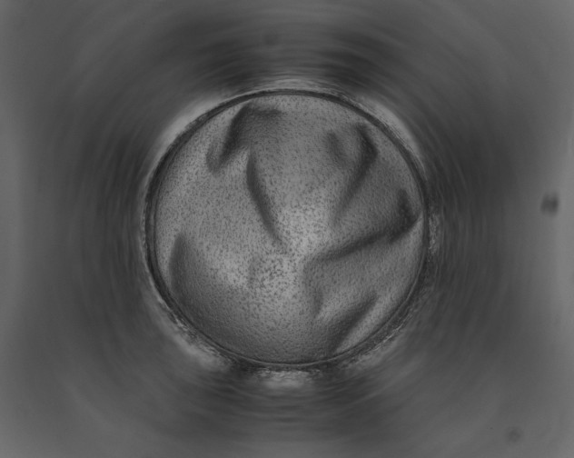 X0000091061043200708271152