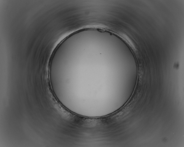 X0000091061044200708271152
