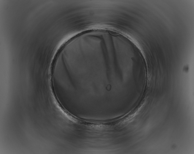 X0000091061045200708271152